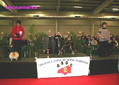 d'Hezaradjah - BEST IN SHOW PUPPY pour FOREVER AND EVER à Rouen